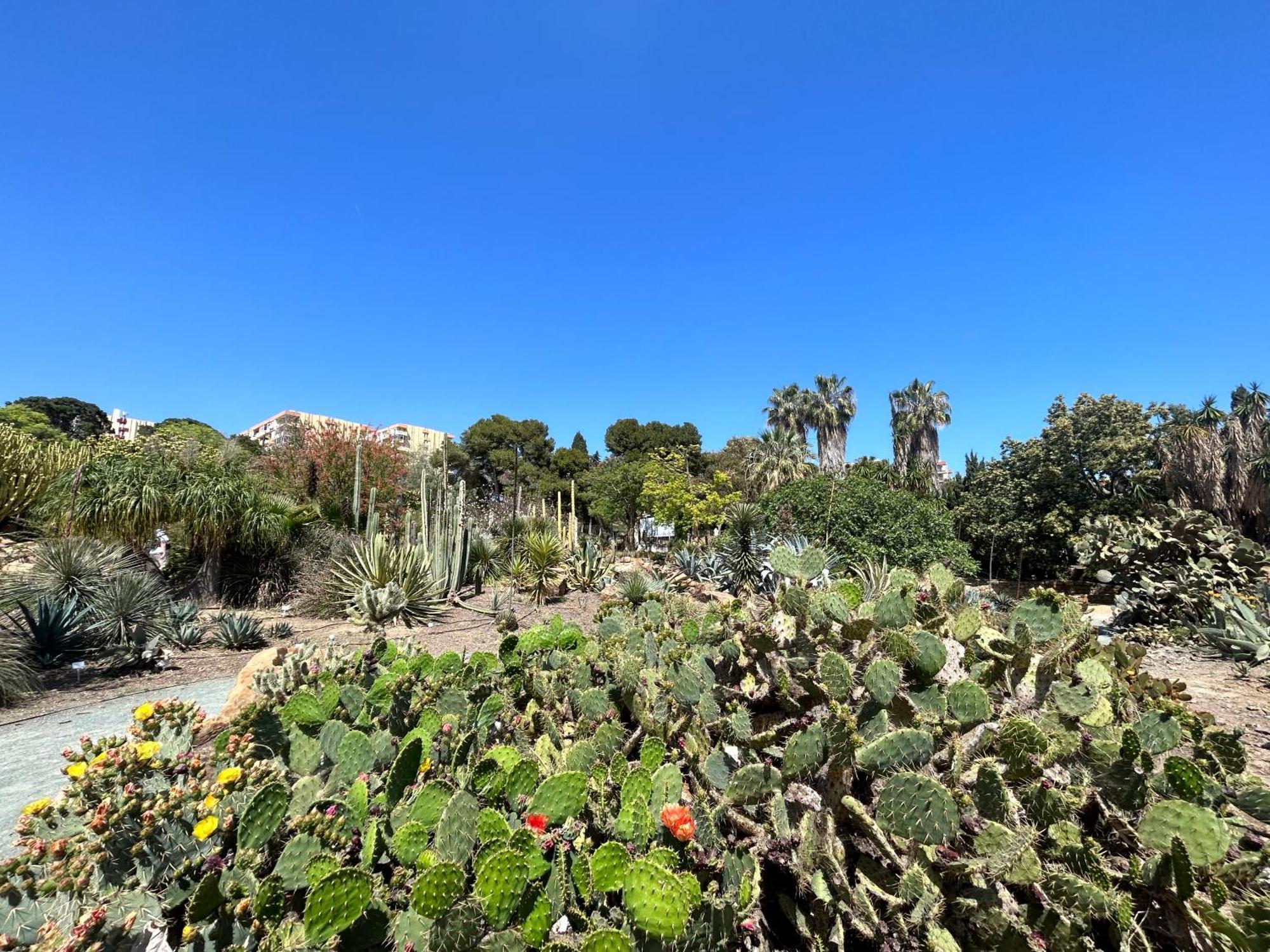 Acogedor Apartamento En Benalmadena Vistas Extérieur photo
